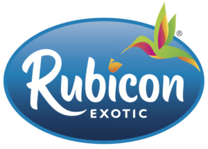 Rubicon Logo Logo
